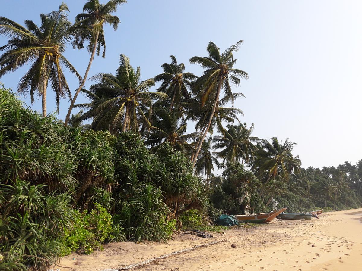 Leatherback Beach Villa Ахунгалла Экстерьер фото